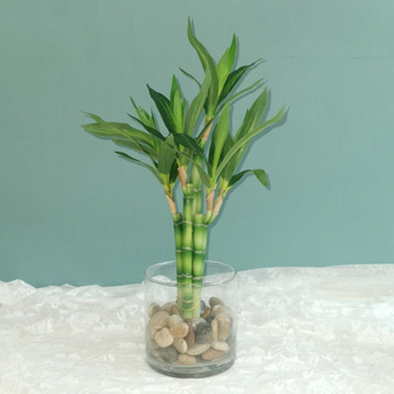 Aquarium Marine Plants - Новый 40 см искусственный счастливый бамбуковый