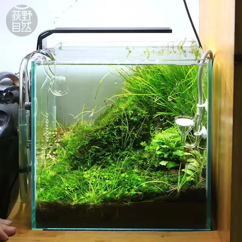 Marine Aquarium Led Lights - Chihiros C серии ADA стиль для