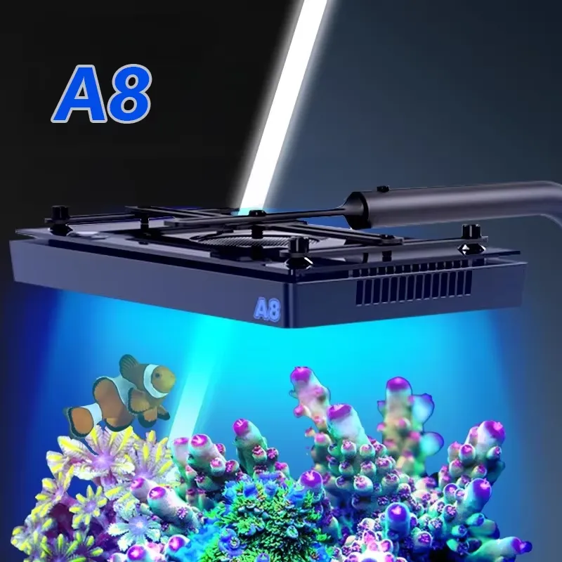 Marine Aquarium & Regional Centre Photos - Светодиодный светильник A8SE II Max Blue