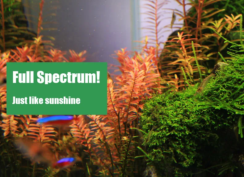 Chihiros C серии ADA стиль для – обзор и цена Marine Aquarium Led Lights