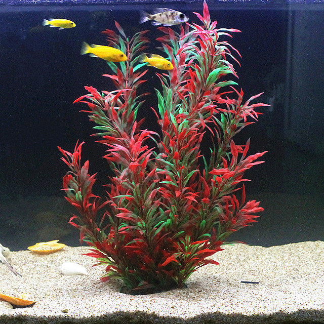 50 см искусственный аквариум р – обзор и цена Aquarium Marine Plants