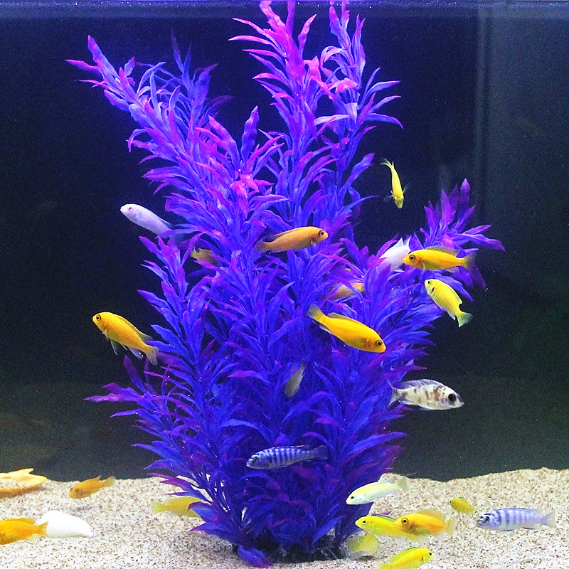 50 см искусственный аквариум р – обзор и цена Aquarium Marine Plants