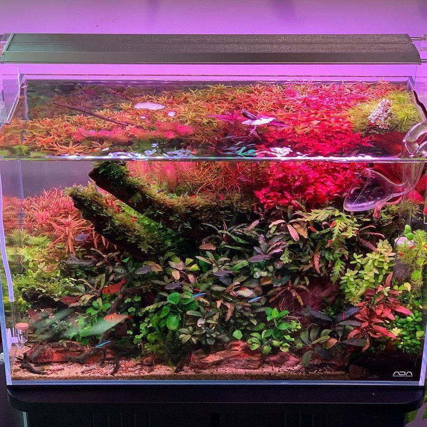 Светодиодный светильник WEEK A – обзор и цена Marine Aquarium Led Lights