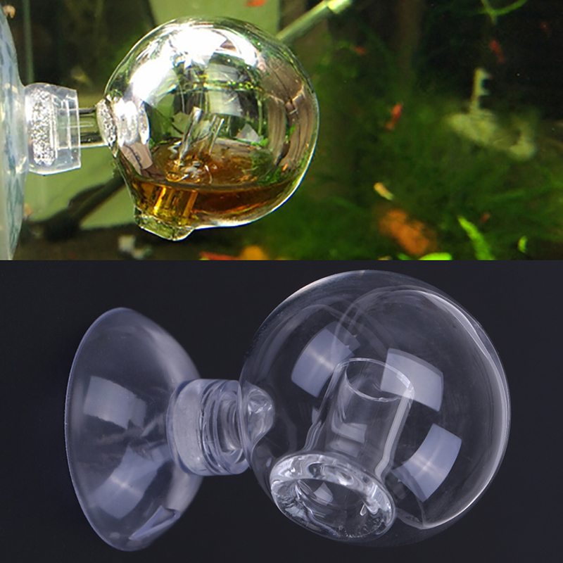 Диффузное стекло CO2 для прове – обзор и цена Aquarium Marine Plants