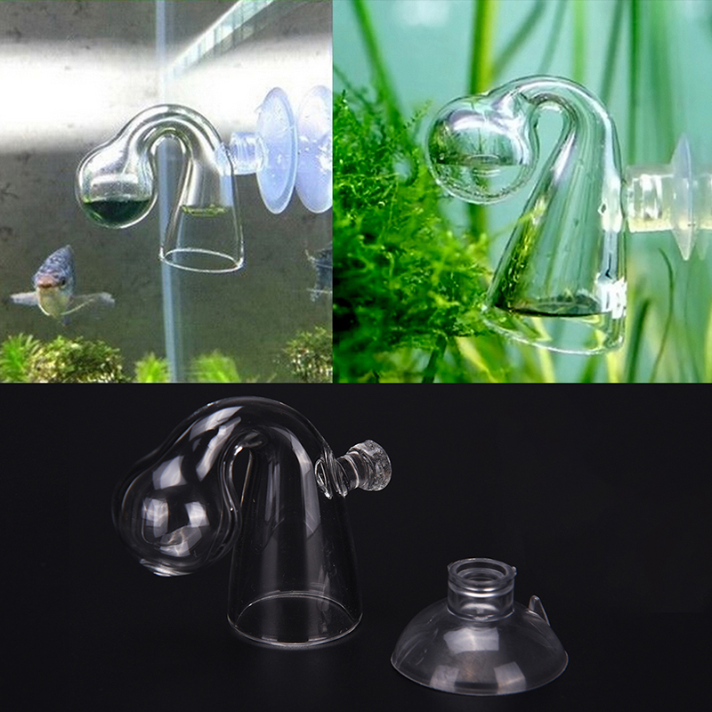 Диффузное стекло CO2 для прове – обзор и цена Aquarium Marine Plants